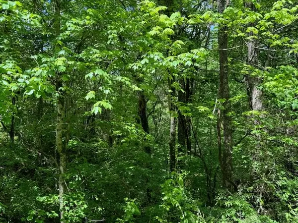 Marble, NC 28905,Lot 15 Paradise Mountain