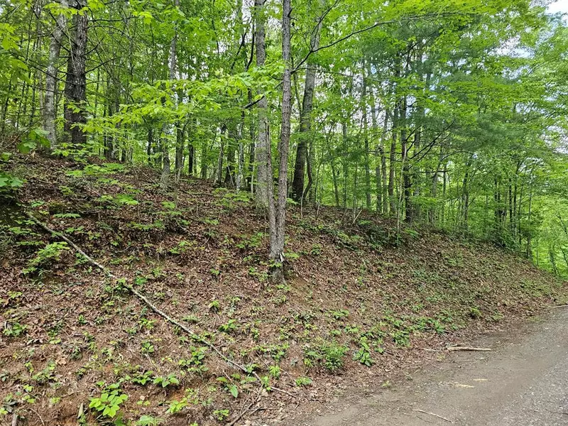 7 Whispering Pines, Murphy, NC 28906