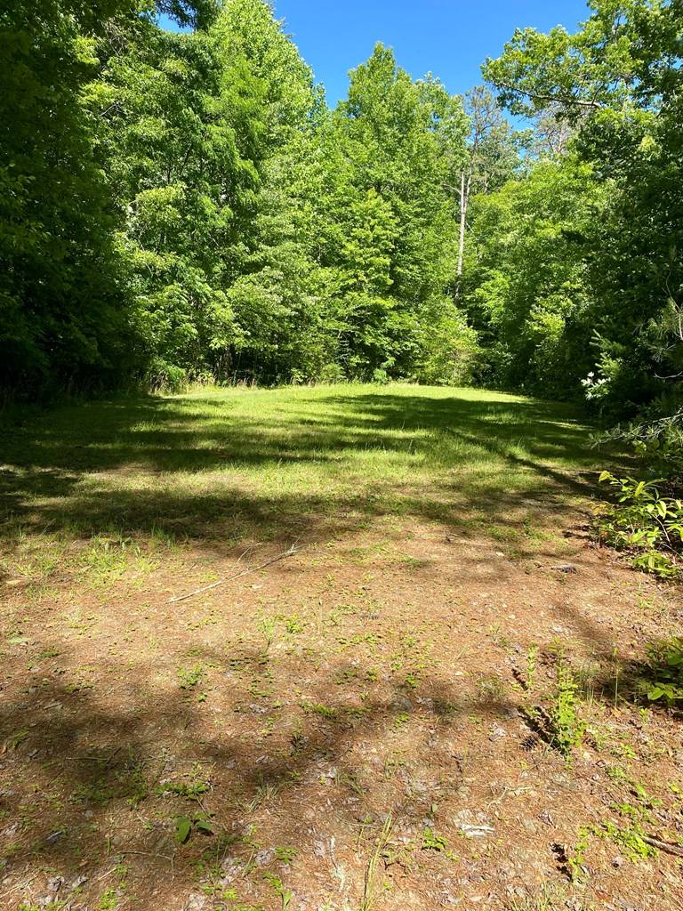 Robbinsville, NC 28771,00 Deer Run - Lot 24