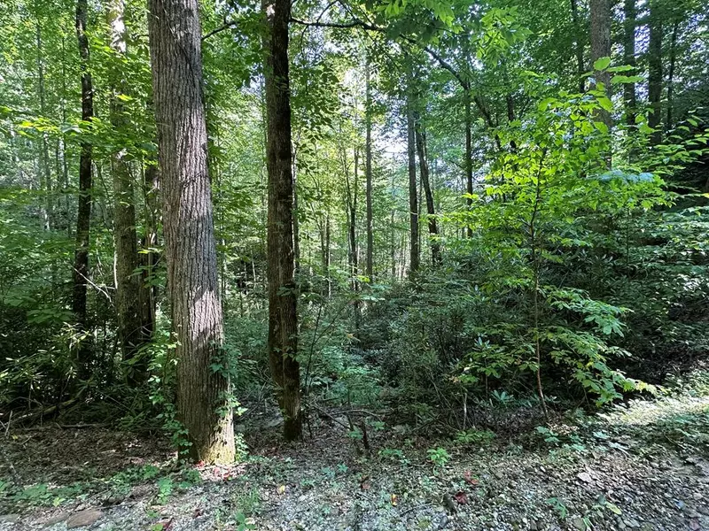 TBD Briggs Cove Road, Stecoah, NC 28771