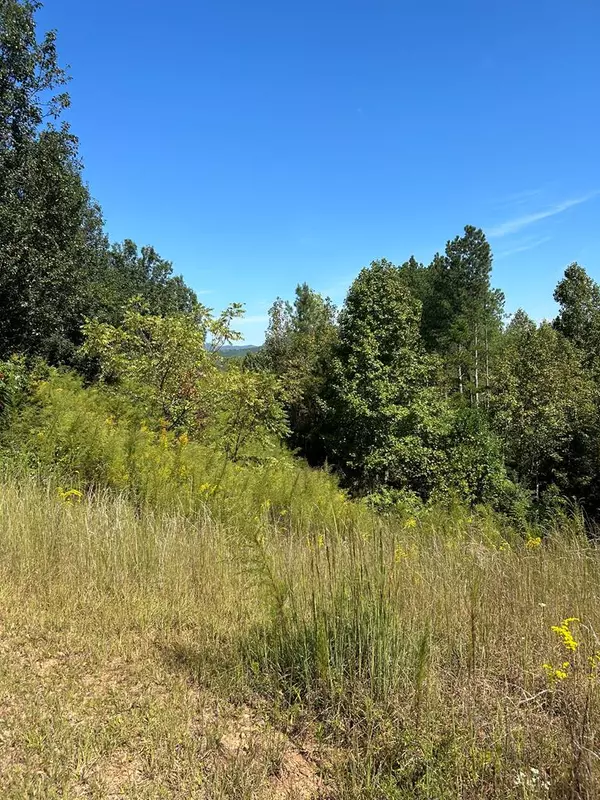 24 My Easy St, Murphy, NC 28906