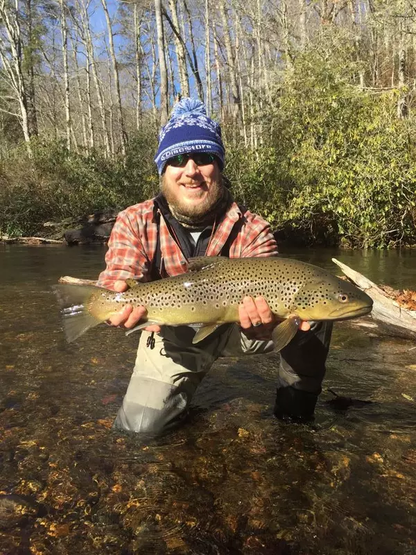 Franklin, NC 28734,15 Water Gauge Road
