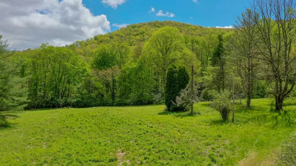 19801 Wayah Rd, Topton, NC 28781