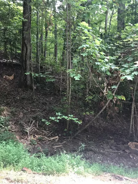 Lot 7 Vista Loop Road, Topton, NC 28781