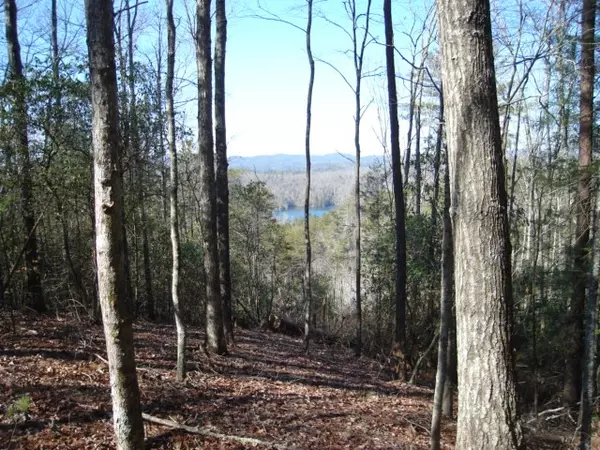 Murphy, NC 28906,600 Berry Patch Road