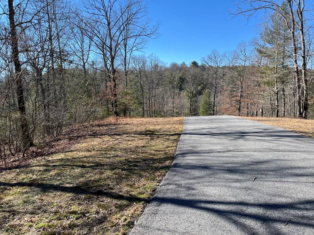 Murphy, NC 28906,17 Fish Hawk Ridge
