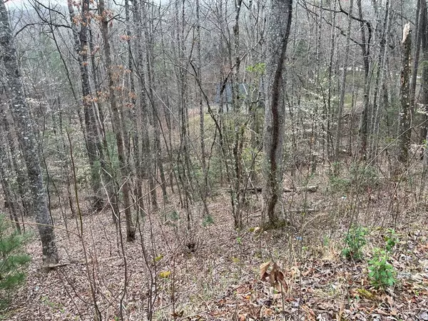 Murphy, NC 28906,46 Robin Road