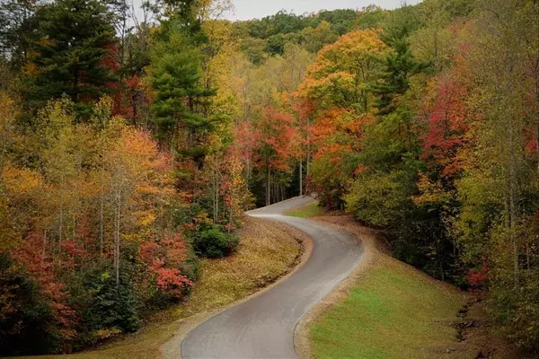 Brasstown, NC 28902,Lot 3 Wild Laurel