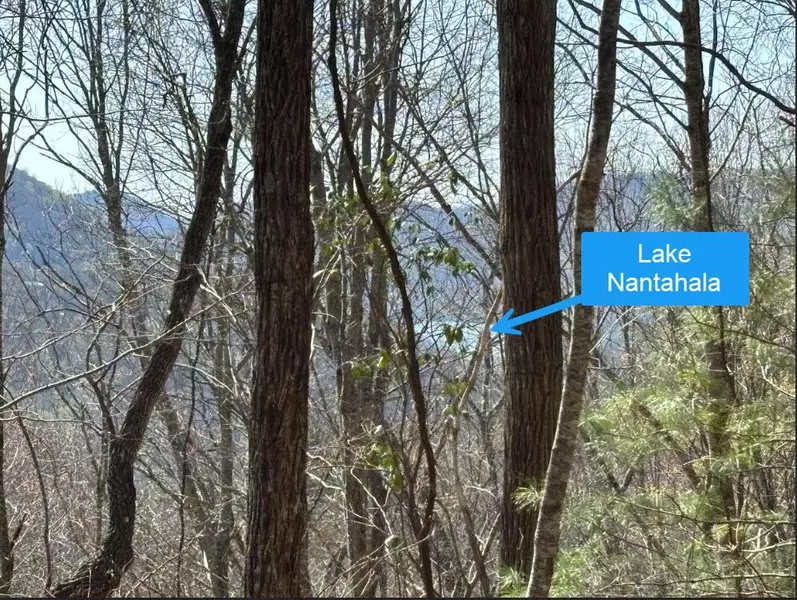TBD Laurel Lane, Nantahala, NC 28781