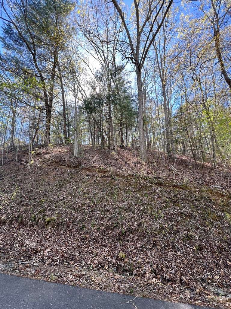 Murphy, NC 28906,Lot 2 Lonesome Pine