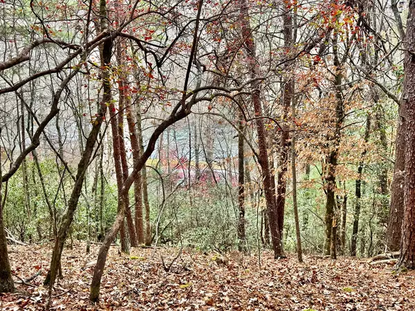 Murphy, NC 28906,289 Paradise Park