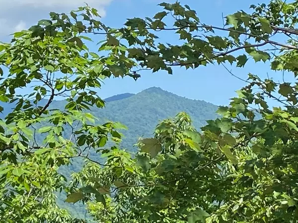 1621 Granny Squirrel Drive, Andrews, NC 28901