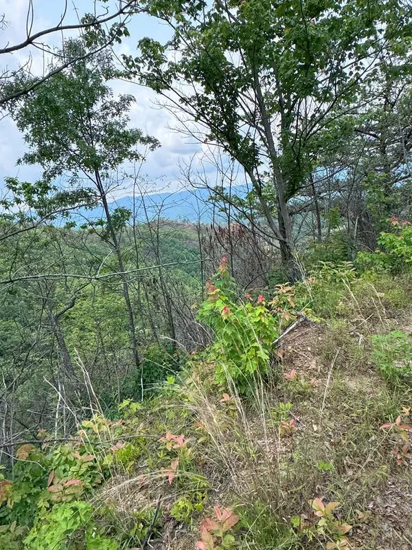 88 acres Bolden Branch, Andrews, NC 28901