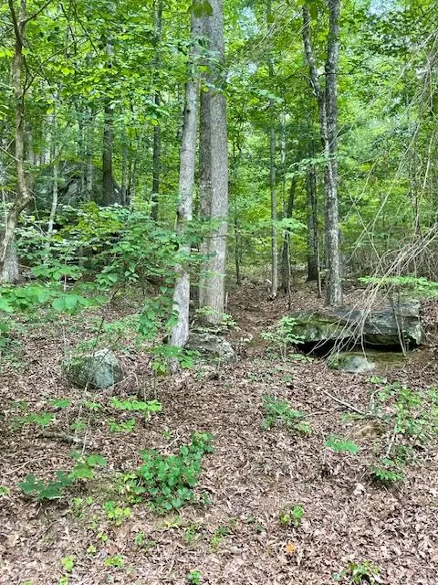 Lot 11 Lonesome Pine Rd, Murphy, NC 28906