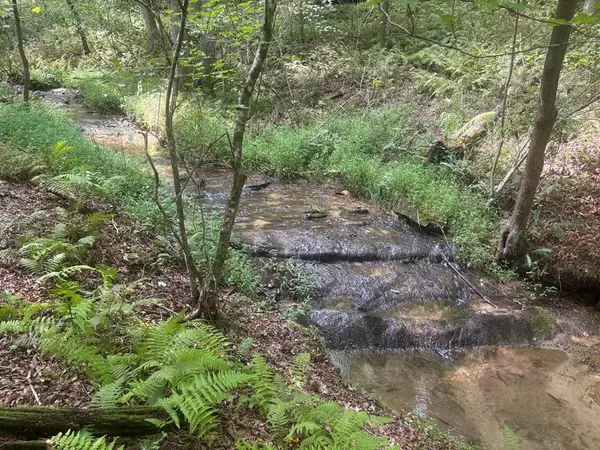 Mineral Bluff, GA 30559,141 Friendship Lane