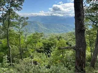 Lot 30 Hickory Cove Road, Bryson City, NC 28713