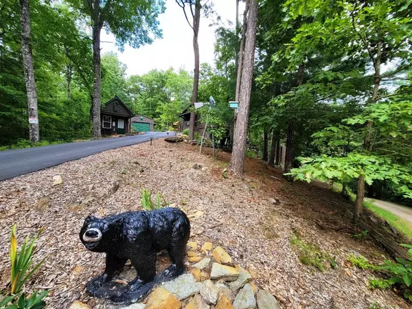 Murphy, NC 28906,170 Fern Ridge Trl