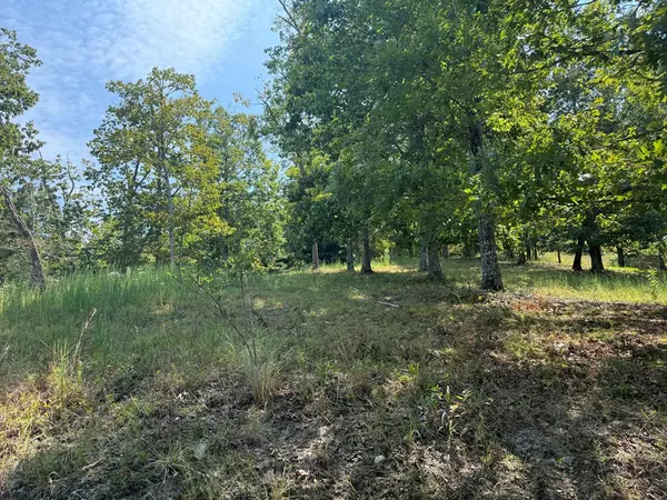 Brasstown, NC 28902,0 Madison Lane