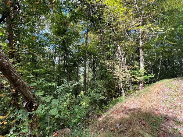 Murphy, NC 28906,72 Wilderness Creek Way