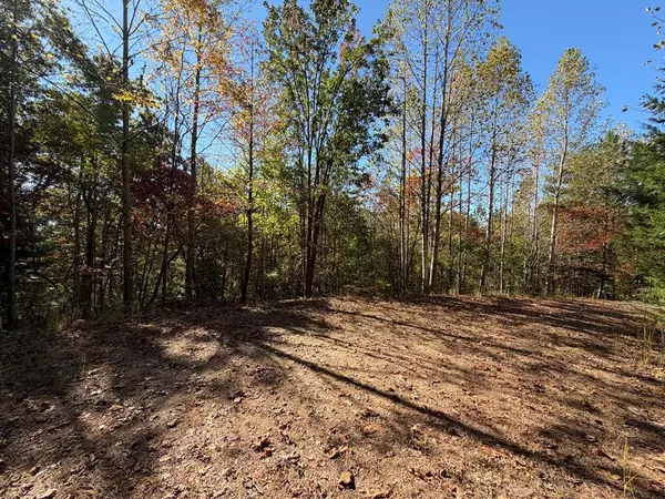 Lot 40 Dasali Way,  Murphy,  NC 28906
