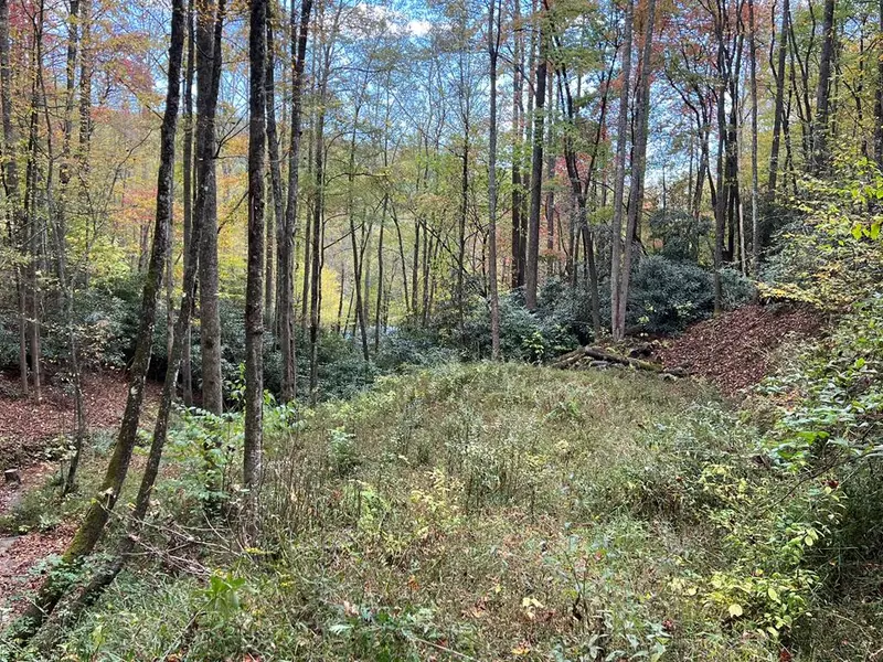 Lot 17 Black Bear Trail, Nantahala, NC 28781