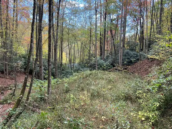 Lot 17 Black Bear Trail, Nantahala, NC 28781