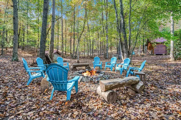 Blue Ridge, GA 30513,98 Bear Ln