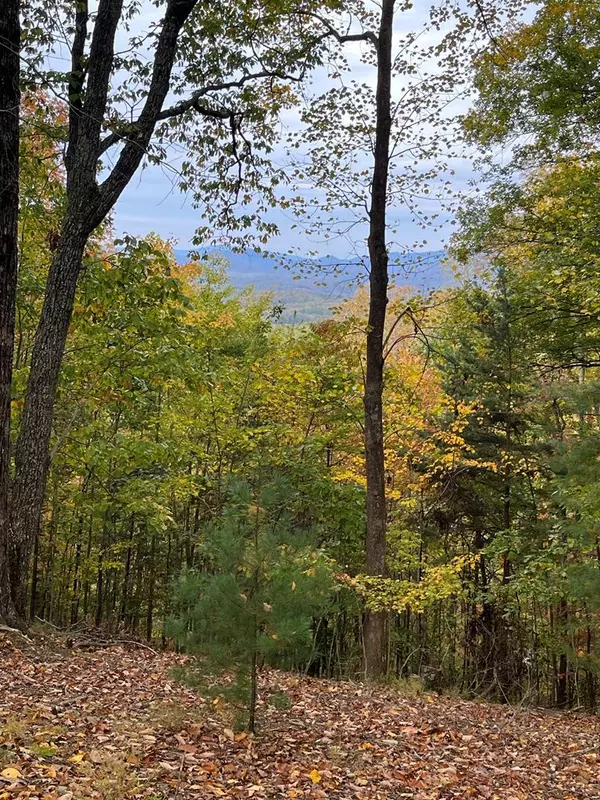 Murphy, NC 28906,400 Beacon Hill Drive