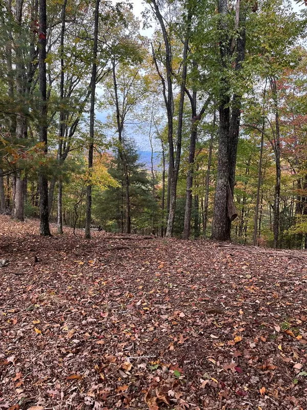 Murphy, NC 28906,400 Beacon Hill Drive