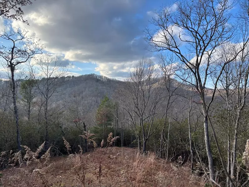 2.02 AC Viewforth, Nantahala, NC 28781