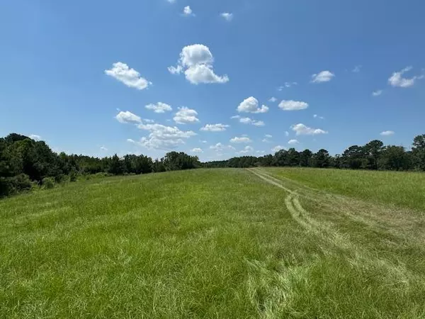 Other, MS 39059,0 Burt Loop Road