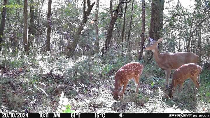 Other, MS 39059,0 Burt Loop Road