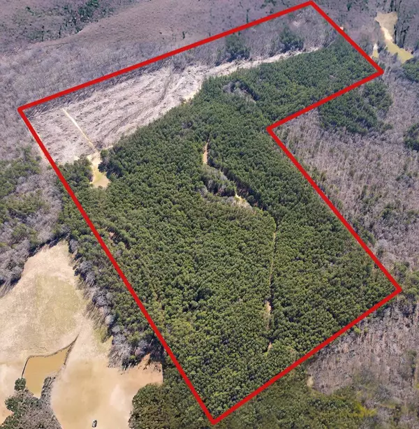 Water Valley, MS 38965,00 County Road 436