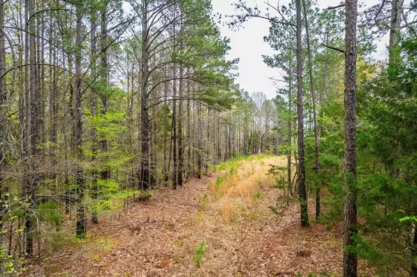 Water Valley, MS 38965,0000 Cr 118