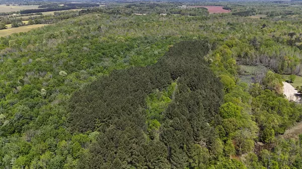 Other, MS 38859,0 County Road 4170