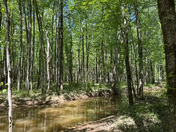 Other, MS 38859,0 County Road 4170