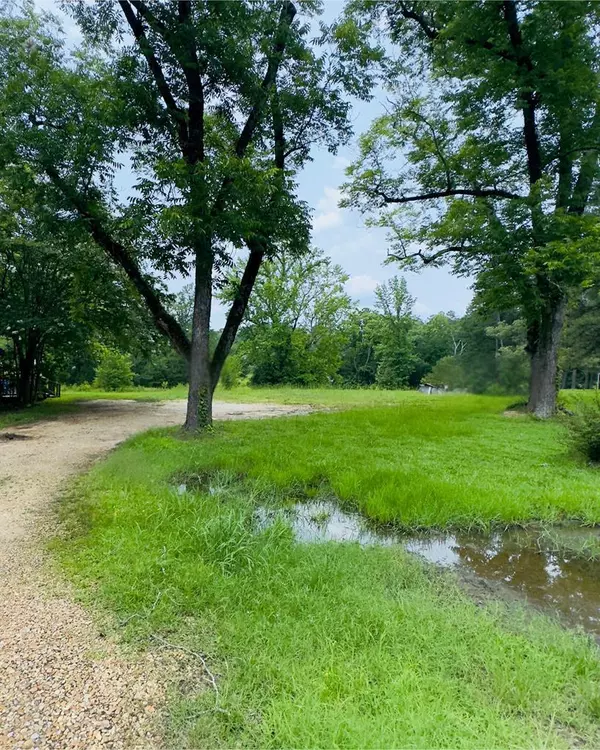 Bruce, MS 38915,413 N. Pontotoc