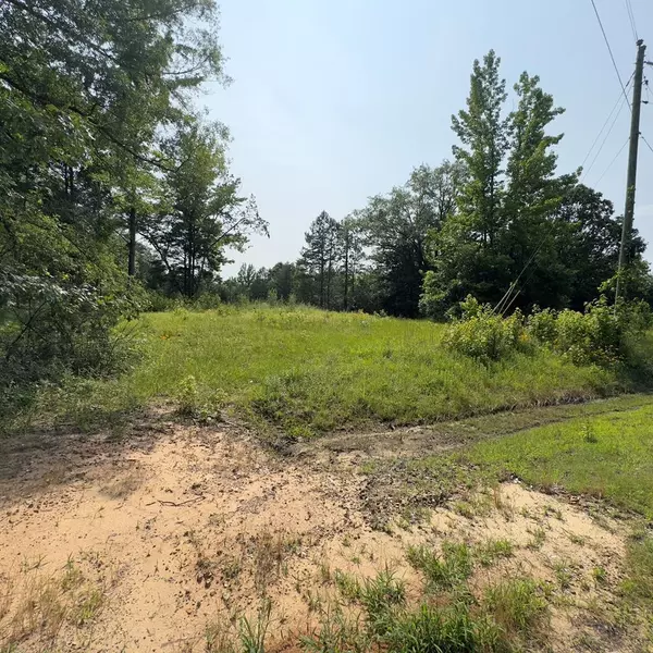 Pittsboro, MS 38951,00 Academy Rd (Cr 406)
