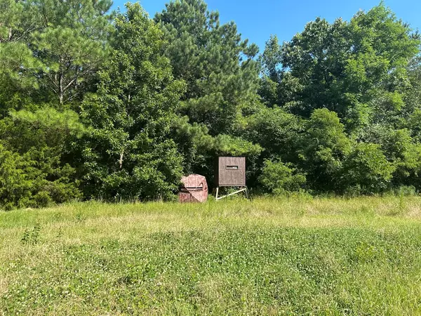 Ashland, MS 38603,0 Reeves Road