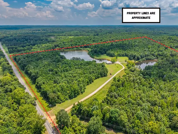 Water Valley, MS 38965,8766 County Road 223