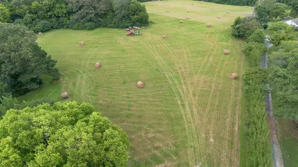 Courtland, MS 38606,378 Audrey Rd