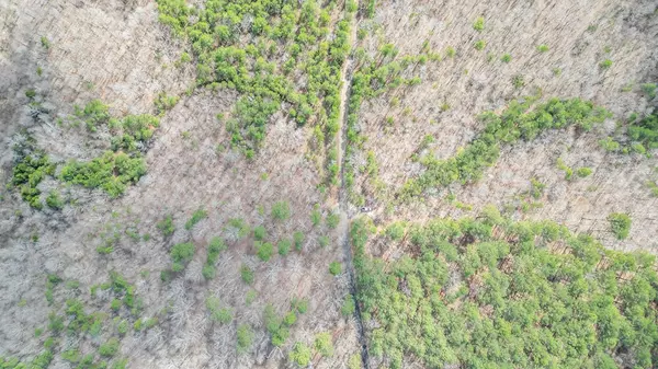 Oxford, MS 38655,TBD Cr 277