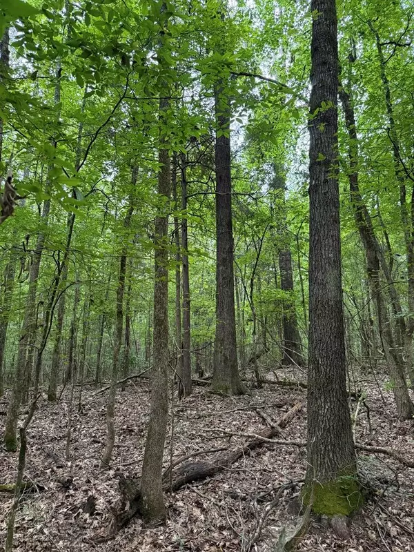 Oxford, MS 38655,TBD Cr 489