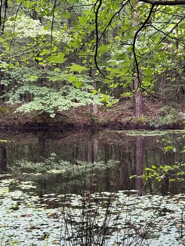 Oxford, MS 38655,TBD Cr 489