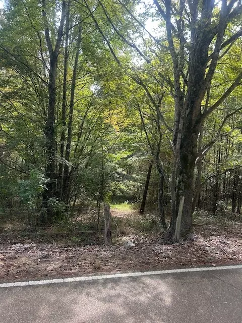 Courtland, MS 38620,2382 Tocowa Road