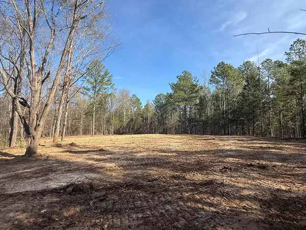 Thaxton, MS 38871,00 Hwy 336