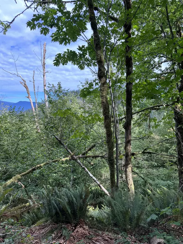 Quarry RD, Coquitlam, BC V3E 3H5