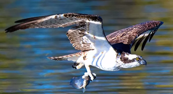 5280 Gordon DR No City Value, BC V1W 5C9