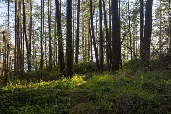 Sechelt, BC V7Z 0N2,LOT C Sunshine Coast HWY