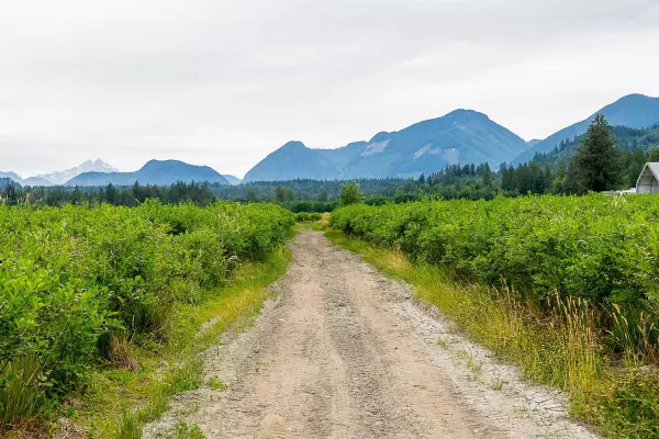 10931 Sylvester RD Mission, BC V2V 0B2